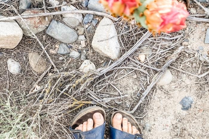 Feet in Sandals standing over brush, stones, and cactus flower