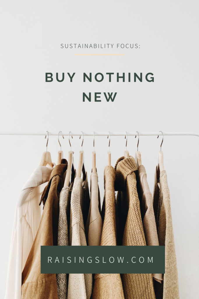 Sustainability is a journey, right? Each year, instead of New Year’s resolutions, I choose a sustainability focus. This Year’s Focus: Buy Nothing New. What this means, how I plan to buy nothing new, and my journey to more conscious consumerism. #ethicalstyle #ethicalfashion #consciousconsumerism #secondhand