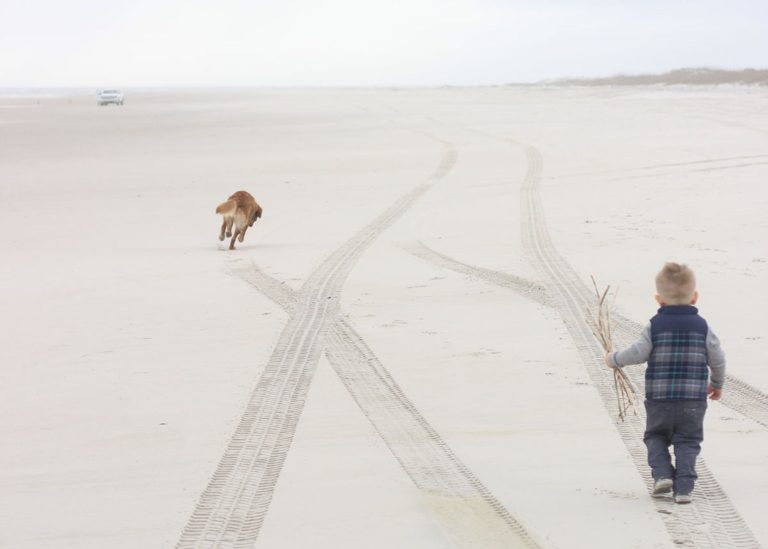 Small child and dog walking along foggy beach.