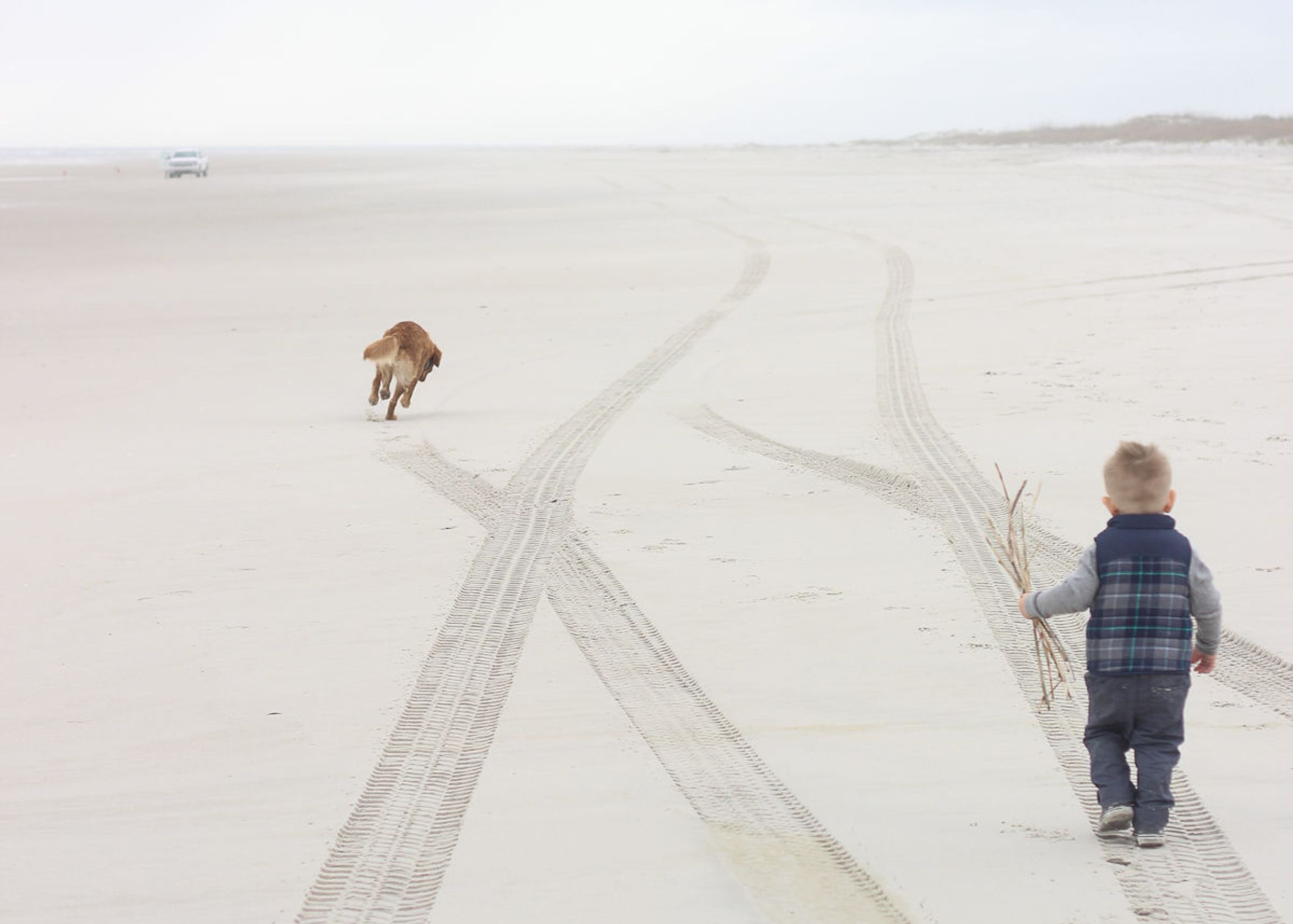 Small child and dog walking along foggy beach.