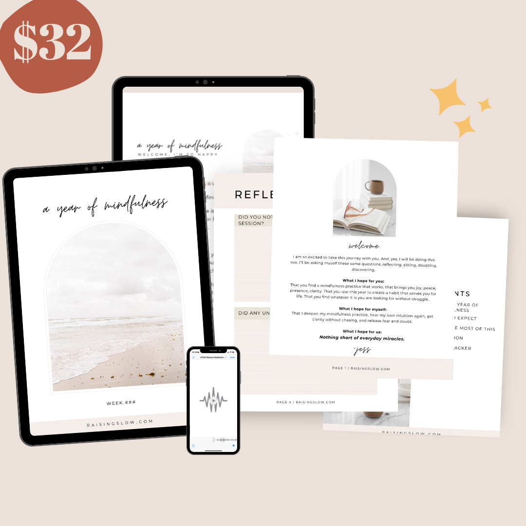 Mockup of A Year of Mindfulness course with the price: $24